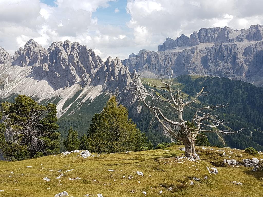 Villa Otto Santa Cristina Val Gardena Exterior foto